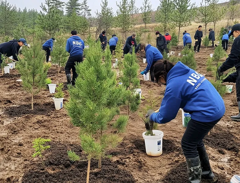 当沙漠蔓延时，我们选择挺身而出